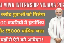 PM Yuva Internship Yojana 2025 : 1 करोड़ युवाओं को मिलेगा 500 कंपनियों में इंटर्नशिप और 5000 रूपये मासिक भत्ता, जानिए पूरी जानकारी।