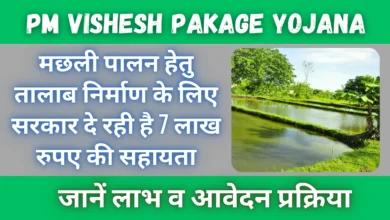 Pradhanmantri Vishesh Pakage Yojana : मछली पालन हेतु तालाब निर्माण के लिए सरकार दे रही है 7 लाख रुपए और तालाब की मरम्मत के लिए 6 लाख रुपए की आर्थिक सहायता।