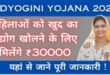 Udyogini Yojana 2025 : महिलाओं को खुद का उद्योग खोलने के लिए मिलेंगे ₹30000, यहां जाने पूरी जानकारी !