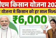 PM Kisan Samman Nidhi Yojana Online 2025 : किसान को हर साल मिलते है ₹6000, जानिए क्या है पूरी योजना और आवेदन प्रक्रिया ?